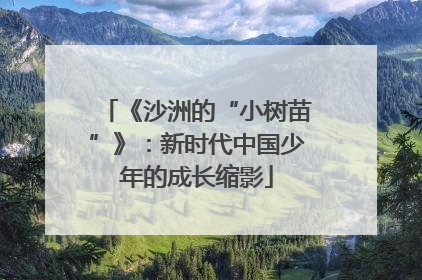 《沙洲的“小树苗”》：新时代中国少年的成长缩影