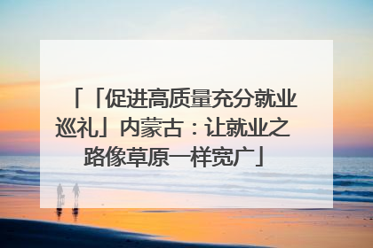 「促进高质量充分就业巡礼」内蒙古：让就业之路像草原一样宽广