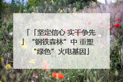 「坚定信心 实干争先」“钢铁森林”中 重塑“绿色”火电基因