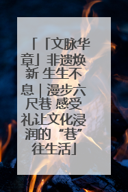 「文脉华章」非遗焕新 生生不息｜漫步六尺巷 感受礼让文化浸润的“巷”往生活