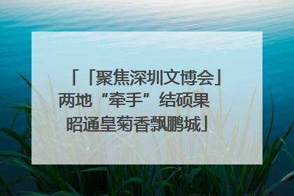 「聚焦深圳文博会」两地“牵手”结硕果 昭通皇菊香飘鹏城