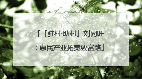 「驻村·助村」刘同旺：惠民产业拓宽致富路