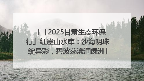 「2025甘肃生态环保行」红崖山水库：沙海明珠绽异彩，碧波荡漾润绿洲