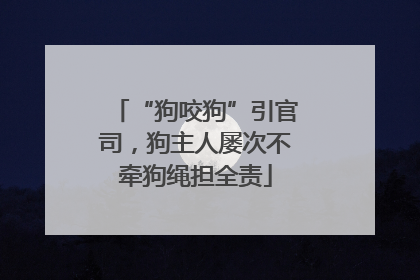 “狗咬狗”引官司，狗主人屡次不牵狗绳担全责