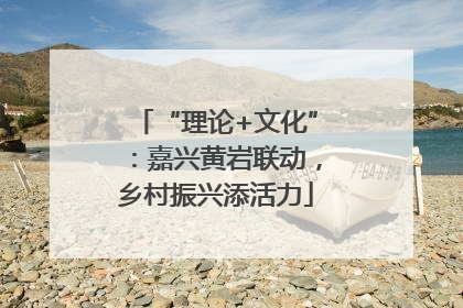 “理论+文化”：嘉兴黄岩联动，乡村振兴添活力
