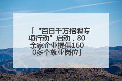 “百日千万招聘专项行动”启动，80余家企业提供1600多个就业岗位