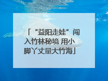 “益阳走娃”闯入竹林秘境 用小脚丫丈量大竹海