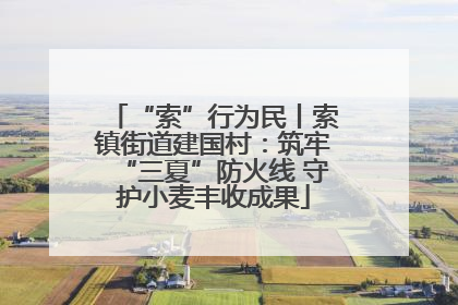 “索”行为民丨索镇街道建国村：筑牢“三夏”防火线 守护小麦丰收成果