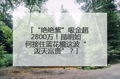 “绝绝紫”吸金超2800万！昆明如何接住蓝花楹这波“泼天富贵”？
