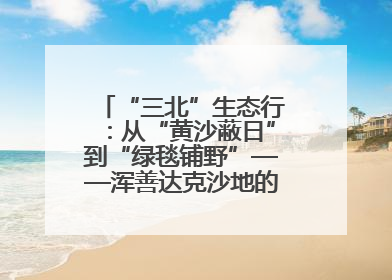 “三北”生态行：从“黄沙蔽日”到“绿毯铺野”——浑善达克沙地的“绿色重生”