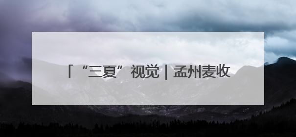 “三夏”视觉｜孟州麦收正当时 机械减损保归仓