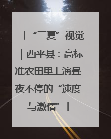 “三夏”视觉｜西平县：高标准农田里上演昼夜不停的“速度与激情”