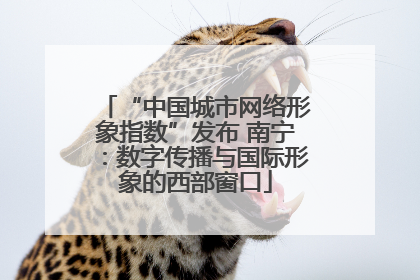 “中国城市网络形象指数”发布 南宁：数字传播与国际形象的西部窗口