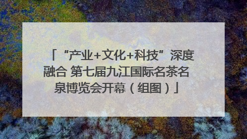 “产业+文化+科技”深度融合 第七届九江国际名茶名泉博览会开幕（组图）