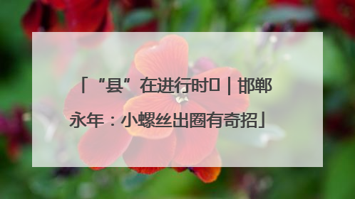 “县”在进行时⑬｜邯郸永年：小螺丝出圈有奇招