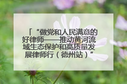 “做党和人民满意的好律师——推动黄河流域生态保护和高质量发展律师行（德州站）”活动成功举办