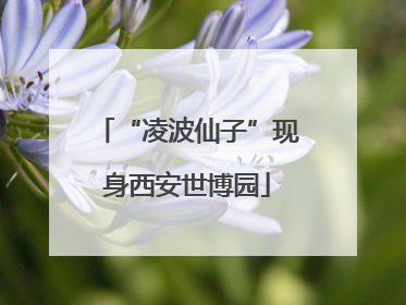“凌波仙子”现身西安世博园
