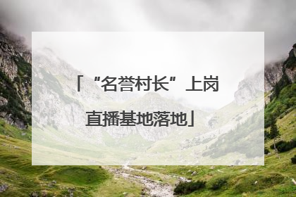 “名誉村长”上岗 直播基地落地