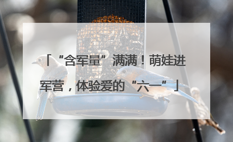 “含军量”满满！萌娃进军营，体验爱的“六一”