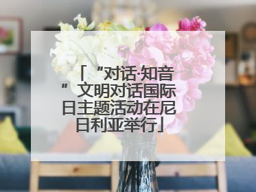 “对话·知音”文明对话国际日主题活动在尼日利亚举行