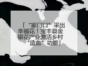 “家门口”采出幸福花！宝丰县金银花产业激活乡村“造血”功能