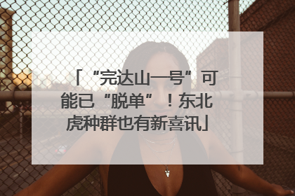 “完达山一号”可能已“脱单”！东北虎种群也有新喜讯