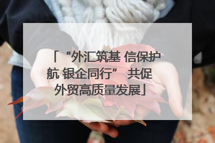 “外汇筑基 信保护航 银企同行” 共促外贸高质量发展