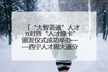 “大智荟通”人才π对暨“人才绿卡”颁发仪式成功举办——西宁人才周大通分会场亮点纷呈