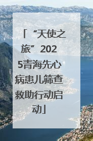“天使之旅”2025青海先心病患儿筛查救助行动启动