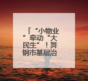 “小物业”牵动“大民生”！舞钢市基层治理显成效