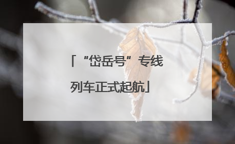 “岱岳号”专线列车正式起航