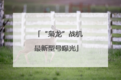 “枭龙”战机最新型号曝光