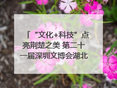 “文化+科技”点亮荆楚之美 第二十一届深圳文博会湖北馆抢“鲜”看