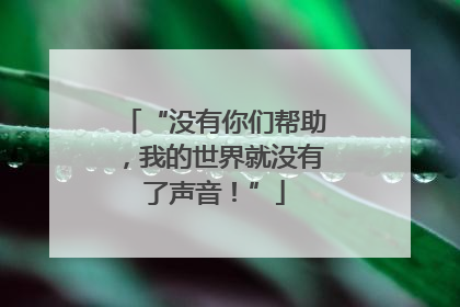 “没有你们帮助，我的世界就没有了声音！”