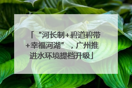 “河长制+碧道碧带+幸福河湖”，广州推进水环境提档升级