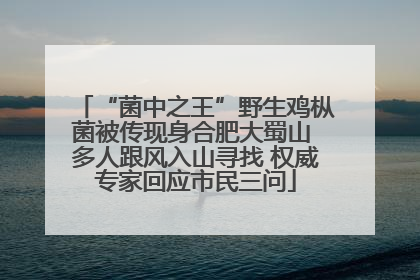 “菌中之王”野生鸡枞菌被传现身合肥大蜀山 多人跟风入山寻找 权威专家回应市民三问
