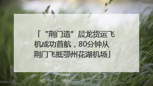 “荆门造”晨龙货运飞机成功首航，80分钟从荆门飞抵鄂州花湖机场