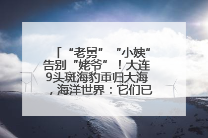 “老舅”“小姨”告别“姥爷”！大连9头斑海豹重归大海，海洋世界：它们已具备野外生存能力