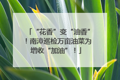 “花香”变“油香”！南漳巡检万亩油菜为增收“加油”！