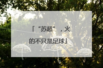 “苏超”，火的不只是足球