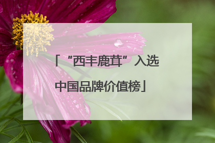 “西丰鹿茸”入选中国品牌价值榜