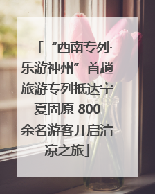“西南专列·乐游神州”首趟旅游专列抵达宁夏固原 800余名游客开启清凉之旅