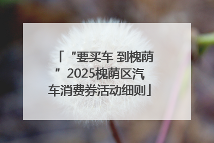 “要买车 到槐荫”2025槐荫区汽车消费券活动细则