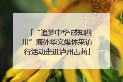 “追梦中华·感知四川”海外华文媒体采访行活动走进泸州古蔺
