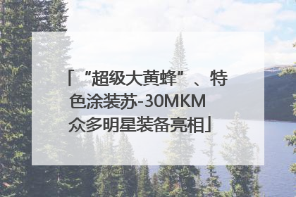“超级大黄蜂”、特色涂装苏-30MKM 众多明星装备亮相
