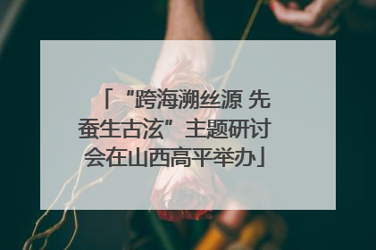 “跨海溯丝源 先蚕生古泫”主题研讨会在山西高平举办