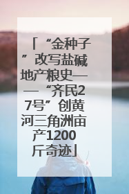 “金种子”改写盐碱地产粮史——“齐民27号”创黄河三角洲亩产1200斤奇迹