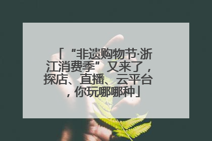 “非遗购物节·浙江消费季”又来了，探店、直播、云平台，你玩哪哪种