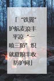 “铁翼”护航麦浪丰 平凉“一喷三防”织就夏粮丰收防护网