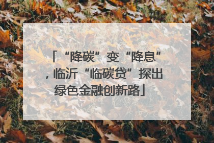 “降碳”变“降息”，临沂“临碳贷”探出绿色金融创新路
